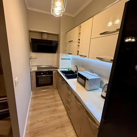 Dionis ゲストハウス 2*